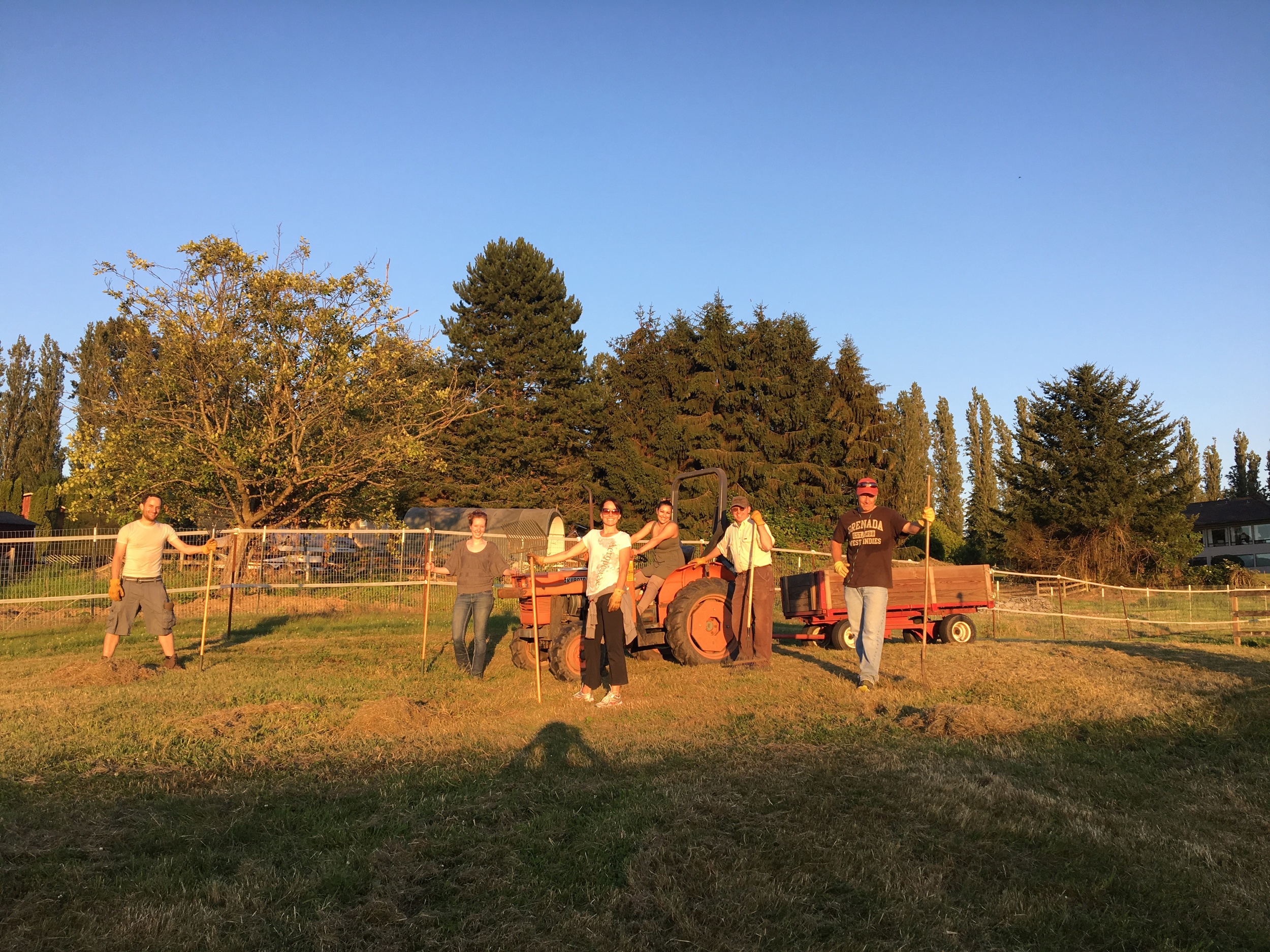 Cleaning property.jpg