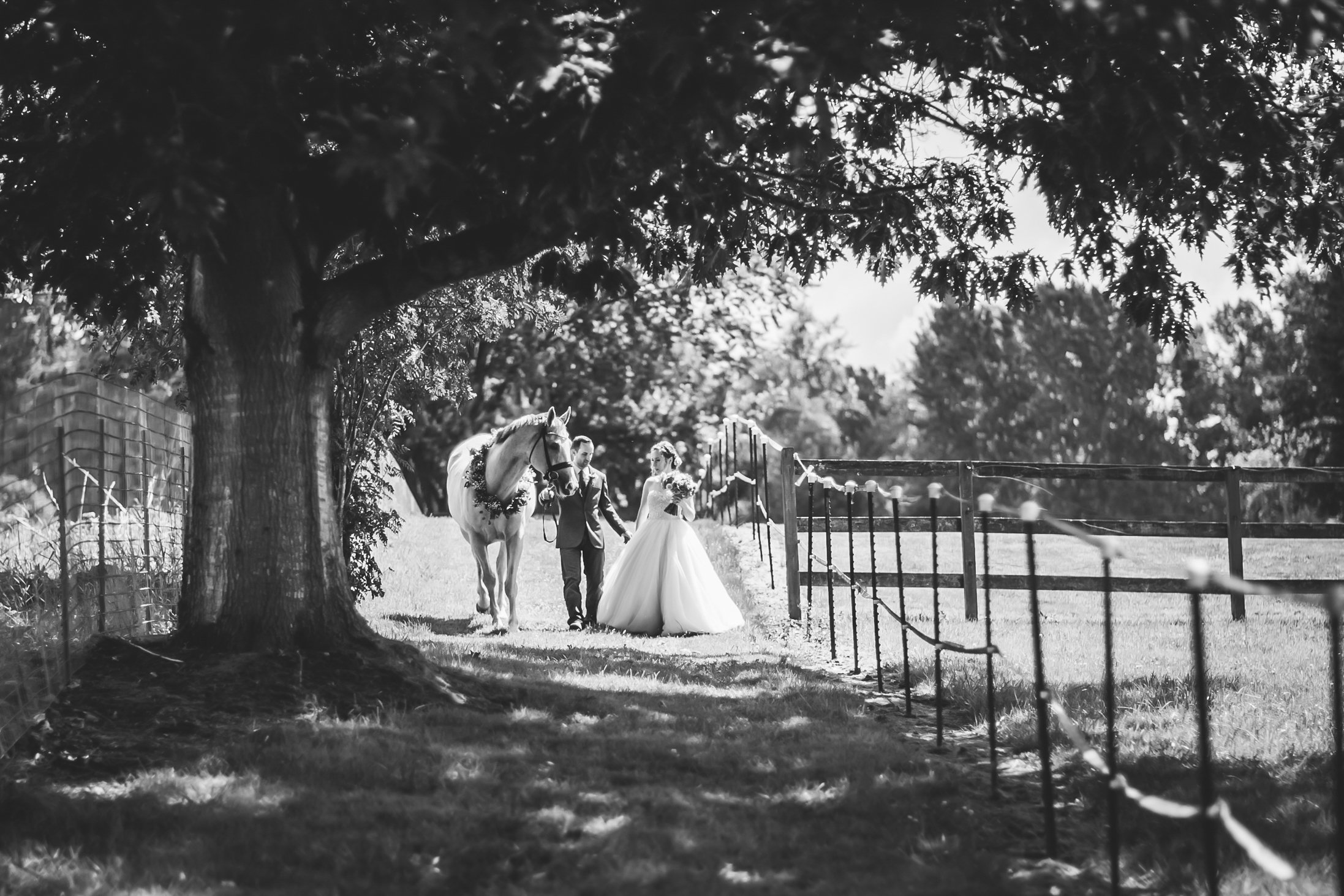 Bride & Groom Formals-1369.jpg