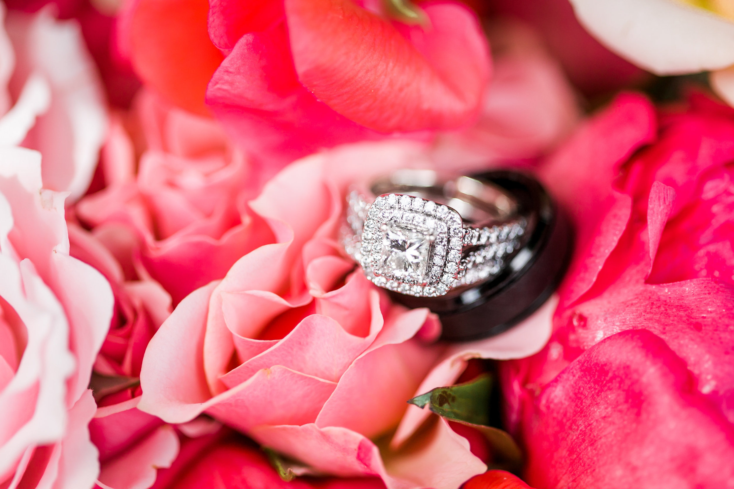 Getting Ready-1537.jpg